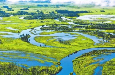 最高检发布湿地保护公益诉讼典型案例<br>提升湿地保护能力和水平
